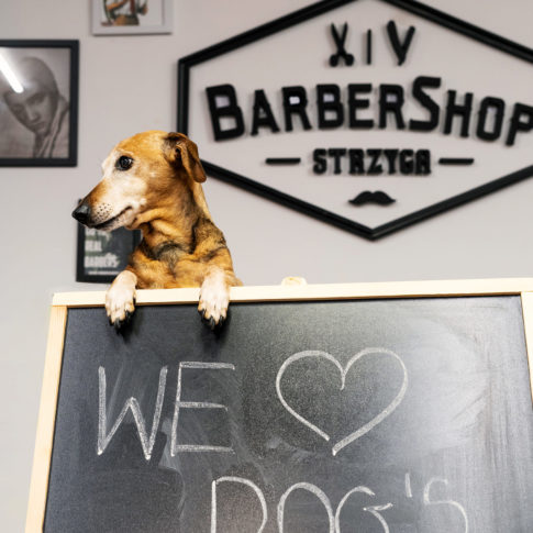 MAYAKI - copywriting dla STRZYGA 2